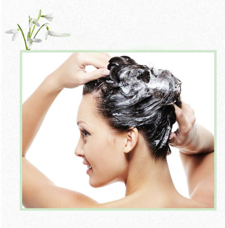 HERBÉN | Ginseng & Polygonum Hair Soap (Nourishing + Silicone-Free)
