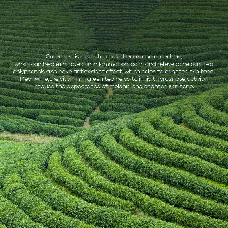 VERDÉA | Green Tea Toner 100ml (Hydration + Natural Balance)