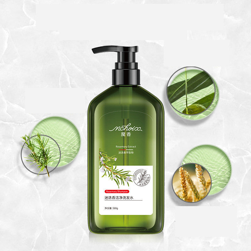 ROVÉL | Rosemary Shampoo &amp; Body Wash (Freshness + Sebum Control)
